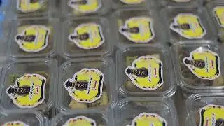 برومو تخرج ماجستير نبال نيبال