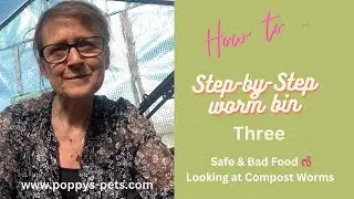 Video Three: Step 3 -  Where To Get Worms & Feeding Your Compost Worms - CHALLENGE