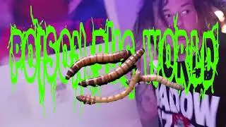 DJ Smokey - Poison Pill #1 