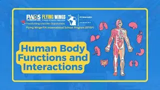 Lesson 9 Human Body Funcations and Interactions