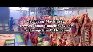 Beef Processing