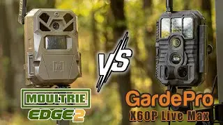 Moultrie Edge 2 против GardePro X60P Live Max | Какую камеру для слежения выбрать?