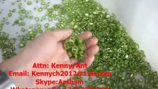 SH-125 green chili pepper cutting slicing machien, cutter slicer,slice ring cutter