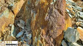 Gold, Silver, Iron Sulfide Veins Running Through A Schistose Zone!