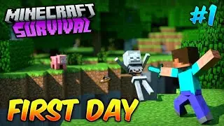 MINECRAFT SURVIVAL DAY 01! (HARION SMP)