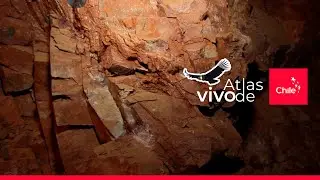 Combarbalita: la piedra &uacute;nica de Chile que inspira a artesanos | Atlas Vivo de Chile