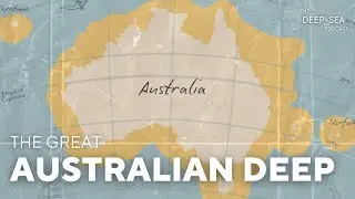 The great Australian deep with Todd Bond | The Deep-Sea Podcast | Episode 51