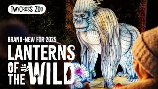 NOW OPEN Lanterns of the Wild at Twycross Zoo! ✨🐘