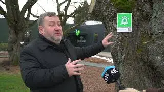 Salaspilī kokiem zīme 