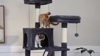Large Cat Tree Tall Cat Tower for Indoor Cats Multi-Level Plush Cat Cond
