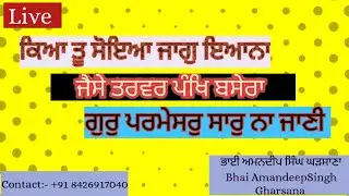 ਕਿਆ ਤੂ ਸੋਇਆ ਜਾਗੁ ਇਆਨਾ | ਜੈਸੇ ਤਰਵਰ ਪੰਖਿ ਬਸੇਰਾ | ਗੁਰੁ ਪਰਮੇਸਰੁ ਸਾਰੁ ਨਾ ਜਾਣੀ |ਗੁਰਬਾਣੀ ਸ਼ਬਦ ਕੀਰਤਨ#kirtan 