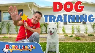 Learn How to Train a Dog and Make Paper Airplanes | Learning Videos for Kids  | Baba Blast! |
