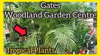 Экскурсия по тропическим растениям и цены в садовом центре Gates Woodland Garden Centre 🌴 Фантаст...