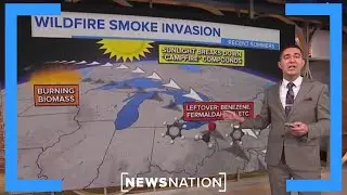 How to stay safe from Canadian wildfire smoke | Morning in America