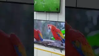 #smart #android #television #2gbram #16gbrom 24
