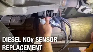Diesel NOx Sensor Replacement | Installation Spotlight
