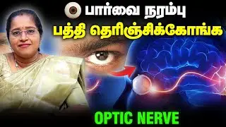 👁️பார்வை நல்லாயிருக்கணும்னா இவ்வளவு நல்லா இருக்கணுமா?Optic Nerve | Dr A.VENI | RockFort Neuro Centre