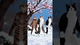 So Cute & Funny! 🤣 Baby & Animals Dance Magic 😱 #shorts #viral