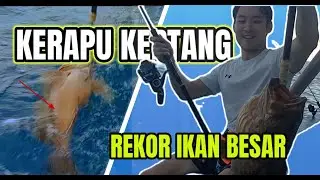 Akhirnya pecah rekor juga,,strike ikan kerapu kertang besar dan amberjack