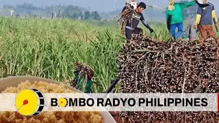 Hublag-protesta, patigayunon subong nga adlaw sang sugar farmers sa Panay batok sa sugar importation