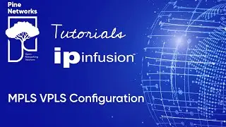 IP Infusion OcNOS Tutorial 11 - VPLS configuration