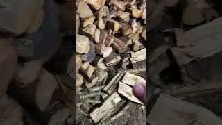 Afternoon wood appreciation #diy #woodworking #woodsplitter