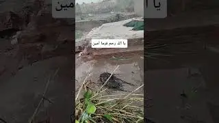 This flood is nothing less than apocalypse.