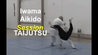 СЕССИЯ ИВАМА АЙКИДО ТАЙДЗЮЦУ
