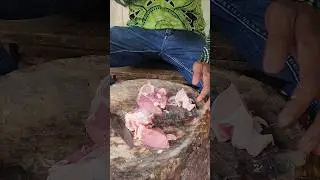 Amazing Meat Cutting Skills🤩 Best Beef Cutting #shorts59 #butcher #beef #cutting #meat #viral