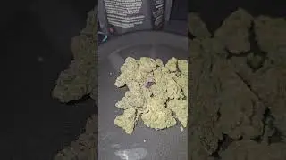 Lot420 AAAA Gelato 33 UK Medical Flower Первые впечатления