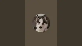 Luna the Puppy is live!