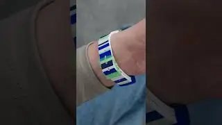 Swatch GG711 Sky Zebra