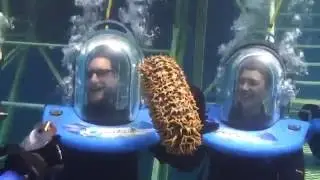 Amber and Matt's Helmet Dive at the Great Barrier Reef in Australia