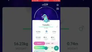Shadow Totodile#pokemongo #pokemon #shadowpokemon #teamgorocket