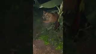 #lion #animals #tiger #wildlife #english #satyendrasir #language #satyendersinghbhira