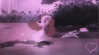 Lady x Duchess ~ I wanna take a chance