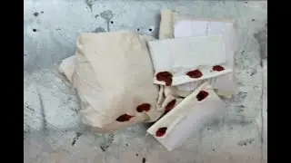 Indore: Man from Mandsaur arrested with MD drugs worth Rs 1 crore