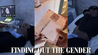 WE FOUND OUT THE GENDER OF OUR BABY!