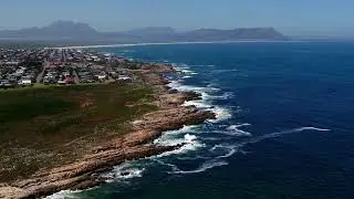 Kleinmond - The Heart of the Cape Fynbos Floral Kingdom