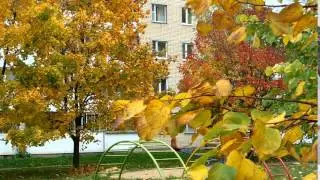 DSCN0294