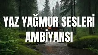 YAZ YAĞMUR SESLERİ - DAĞ ORMANI AMBİYANSI