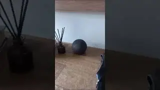 Alexa Skill