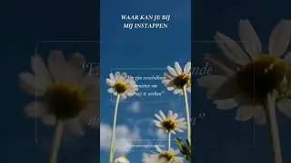 Overzicht van mijn aanbod | Helderheid & instapmogelijkheden #keuzes #coaching #groeimindset