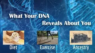 DNA: Insights into Ancestry, Diet, and Fitness