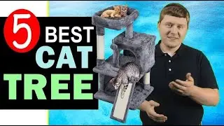 Best Cat Tree 2023-2024 🏆 Top 5 Best Cat Tree Tower Reviews