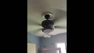 oiling this Hampton Bay Trice ceiling fan #ceilingfan #shorts