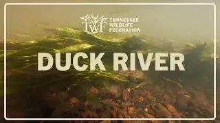 Tennessee's Duck River is a national treasure. Let's protect it together.