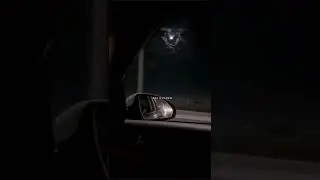 kisi shayar ki gazal