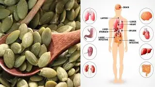 After Watching This Video You Will Start Eating Pumpkin Seeds Everyday