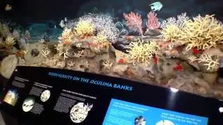FMSEA Episode 1 Smithsonian Marine Station at Ft Pierce